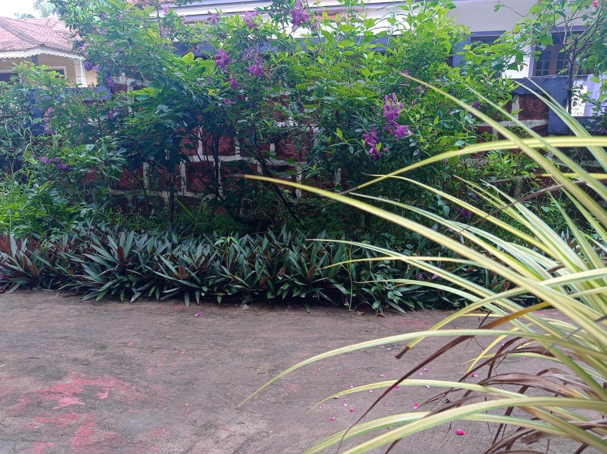 Lobo'S Guesthouse Cavelossim Exterior foto